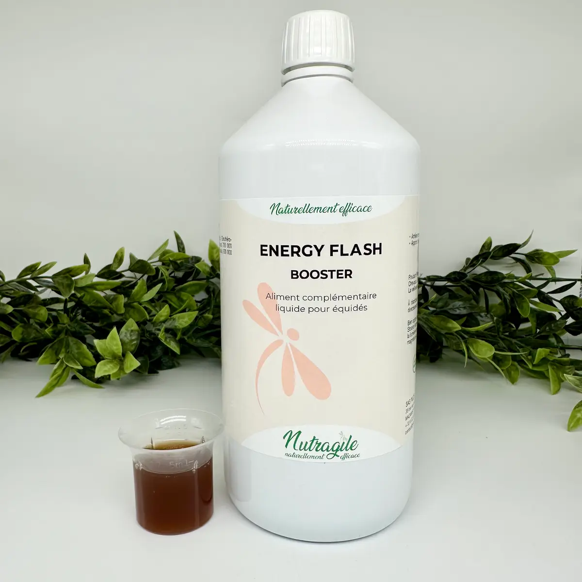 Nutragile Energy Flash-Booster 3