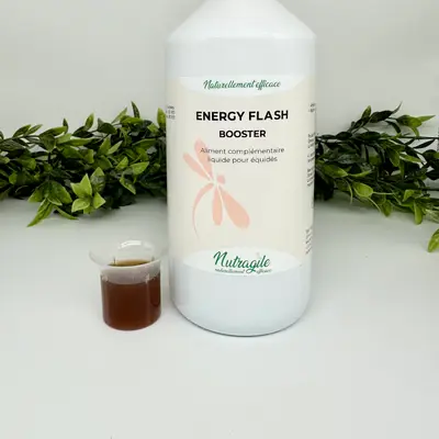 Nutragile Energy Flash-Booster 3