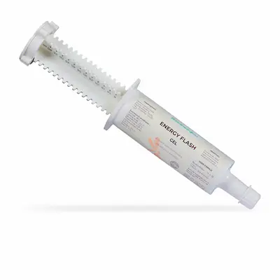 Nutragile Energy Flash-Booster 4