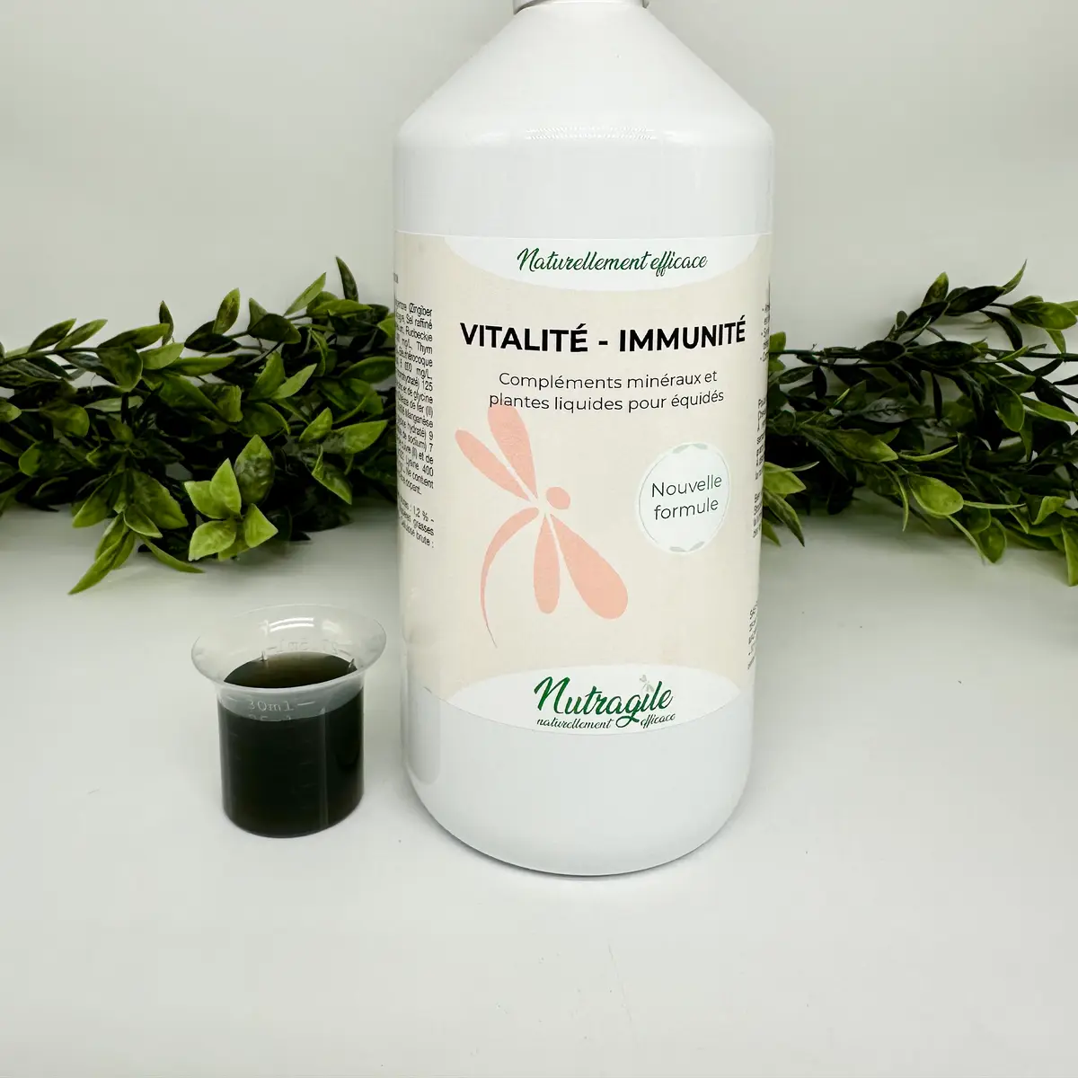 Nutragile Vitalité - Immunités