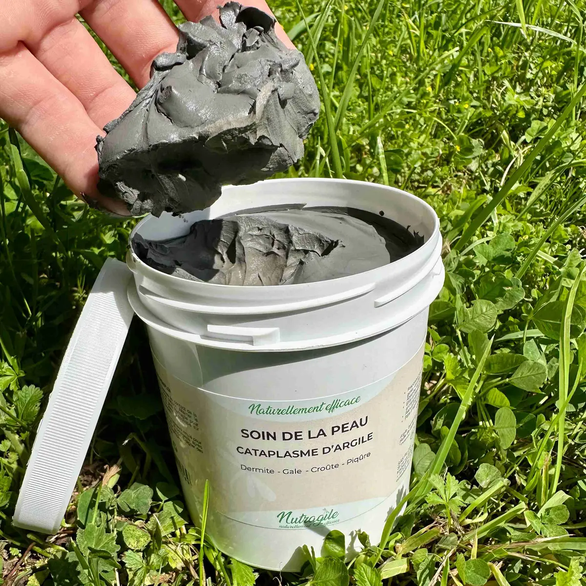 Clay Paste Skin Care 2