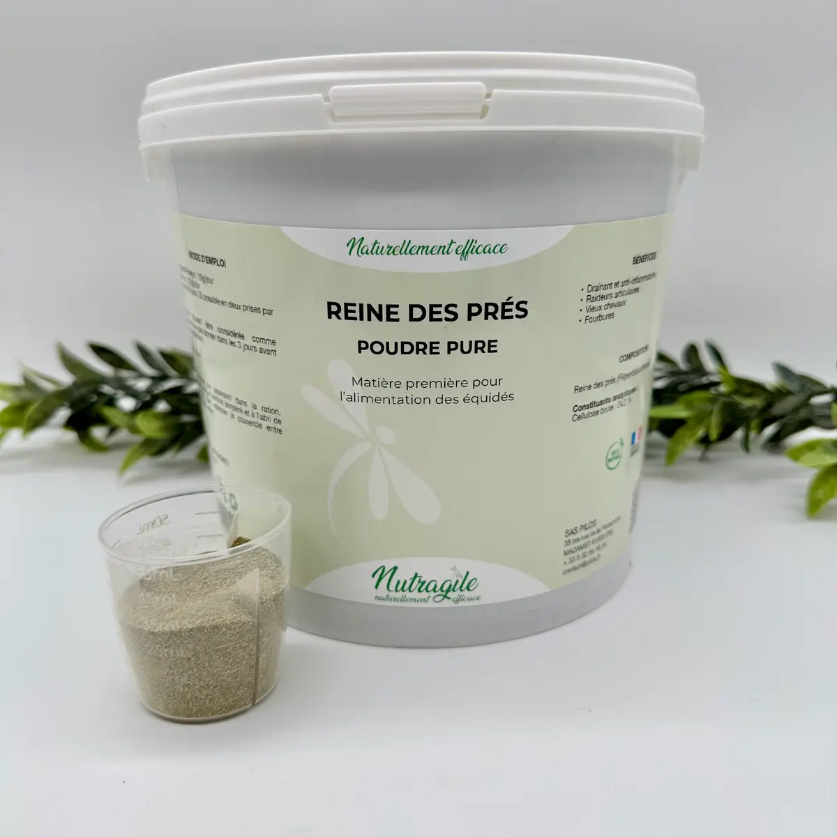 Reine des Prés 2