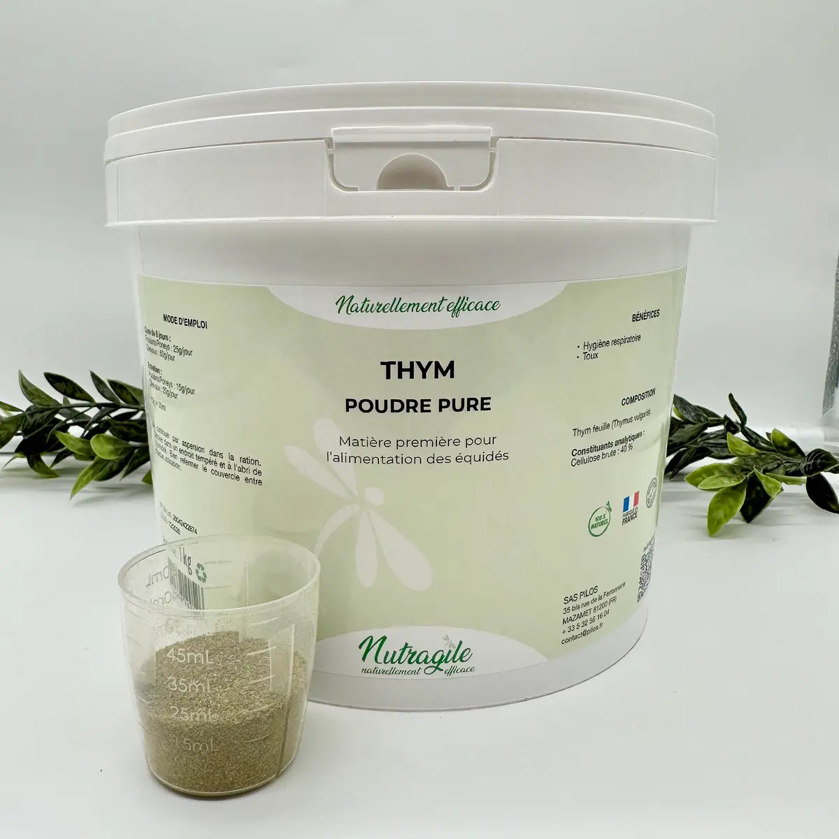 Thym 2